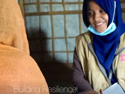 Economic Modeling for a Five-Year Midterm Livelihood Framework for Rohingya FDMNs in Bangladesh