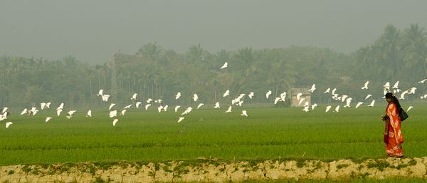 77% of violence against women is perpetrated by family members - Header Image