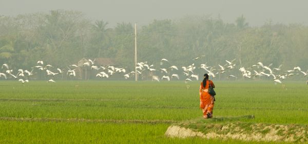 An accountant with a mighty vision - Header Image