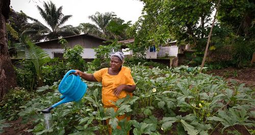 Climate-Climate-Smart-Agriculture-Strategy