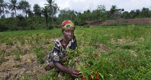 Climate-Cost-effective-strategies-to-strengthen-the-capacity-of-farmers