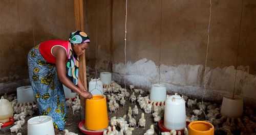 Climate-Increased-income-and-environmentally-sustainable-agriculture-production