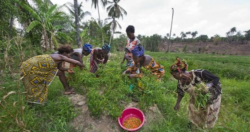 Climate-Raise-awareness-and-build-agriculture-dependent-communities