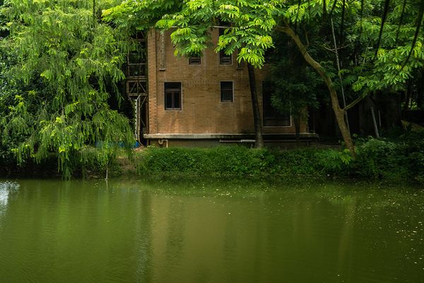 A house that can grow, float, and stays cool all year - Header Image
