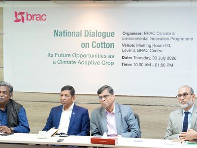 Cotton-Cultivation-Holds-Strong-Potential-in-Bangladesh
