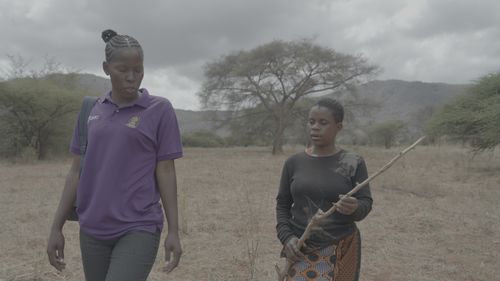 AIM - Tanzania - Agri