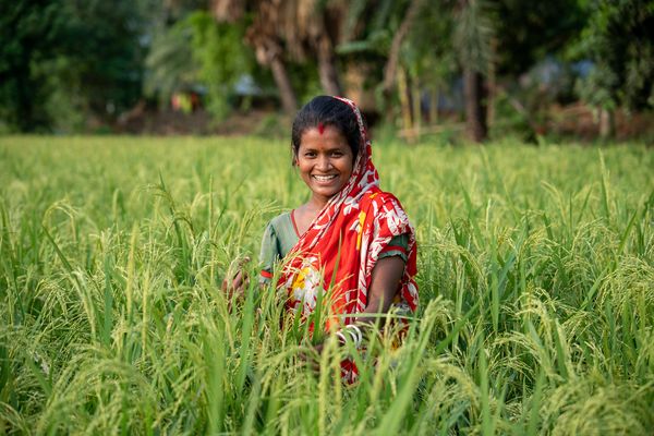 A Bangladeshi woman with a green and red saree stands in a lush green field
