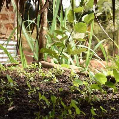 Climate - strategic vision