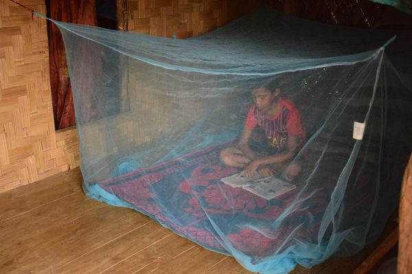 How to eliminate malaria: At the last mile in Bangladesh - Header Image