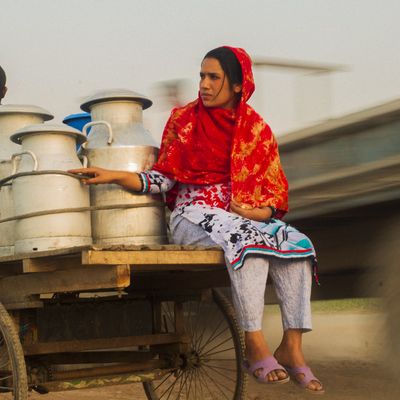 Bangladesh_Social Enterprise_Dairy