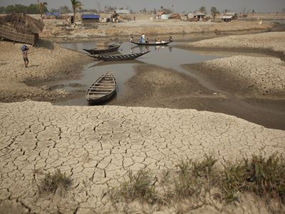 Life in a heatwave: what it’s like, and what we need to do - Header Image