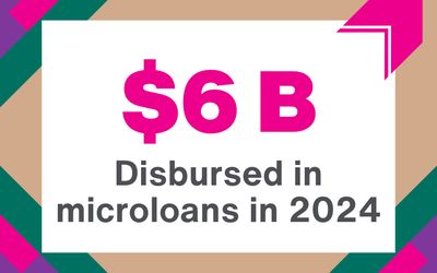 Graphic reading: "$6 B dispursed in microloans in 2024"