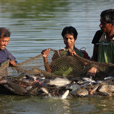 Fisheries Activities- Moments  (2)