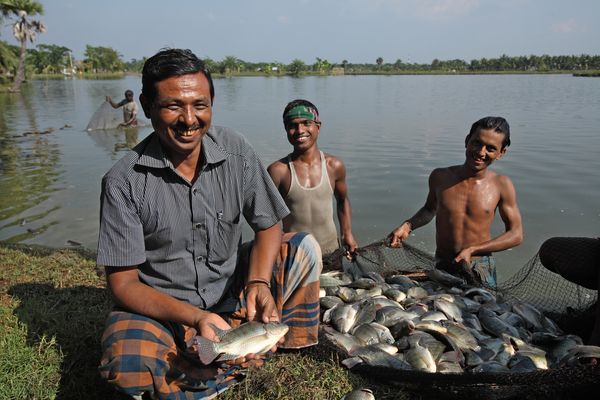 Fisheries Activities- Moments  (5)