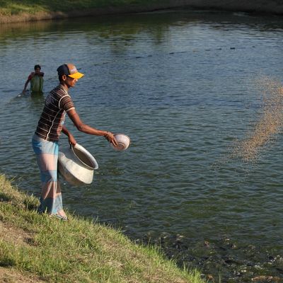 Fisheries Activities- Moments  (3)