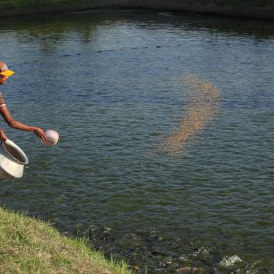 Fisheries Activities- Moments (3)