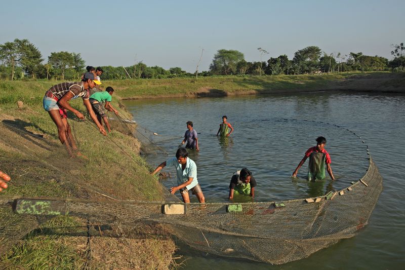 Fisheries Activities- Moments (4)