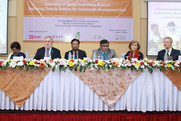 Global Panel policy brief published on achieving SDG - Header Image