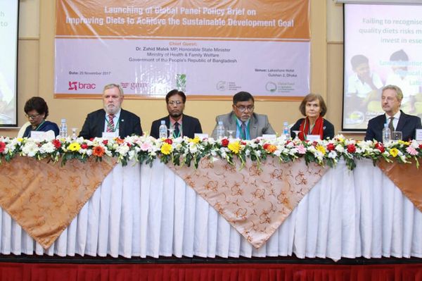 Global Panel policy brief published on achieving SDG - Header Image