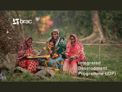 IDP-Programme-Brief-2025-thumb