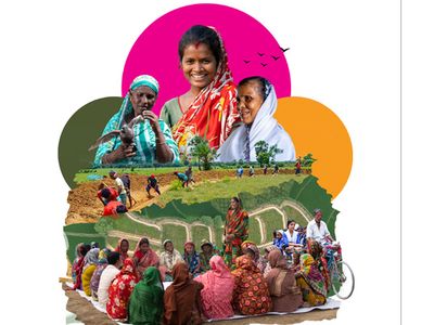 IDP annual highlight 2025