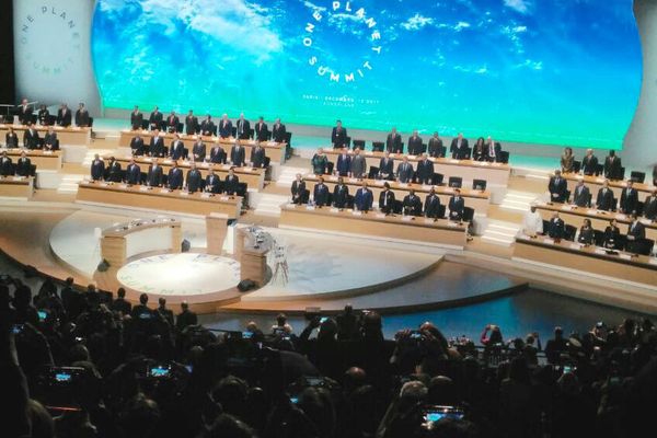 Combating climate change: Momentum builds with new financial commitments - Header Image