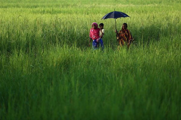 Boot camp to fight global poverty: On location with BRAC in Bangladesh and Sri Lanka - Header Image
