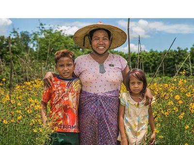 BI MF Myanmar Inclusive financial services