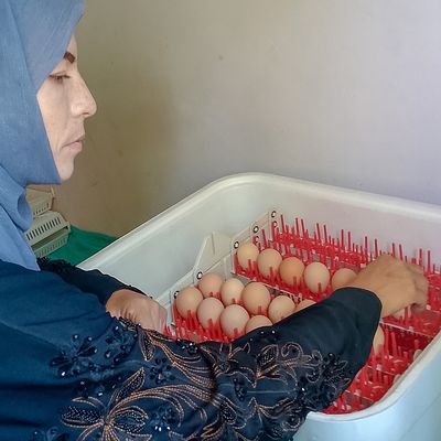Incubating hope: Khadija’s story of resilience from Afghanistan - Header Image