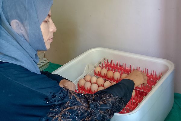 Incubating hope: Khadija’s story of resilience from Afghanistan - Header Image