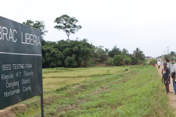 BRAC’s lessons from Ebola for COVID-19: Opt for safe not sorry, supercharge communication, focus on clients and look for opportunities - Header Image