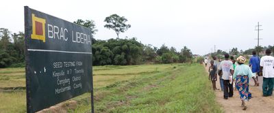 BRAC’s lessons from Ebola for COVID-19: Opt for safe not sorry, supercharge communication, focus on clients and look for opportunities - Header Image