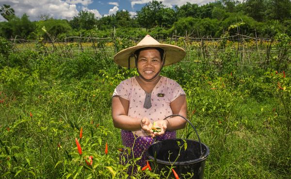 MF Client Myanmar - our approach