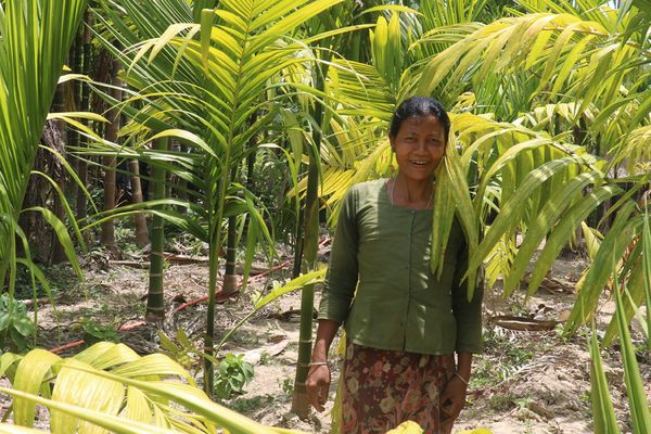 স্থানীয় জনগোষ্ঠীতে শরণার্থীদের আগমনের প্রভাব: প্রেক্ষাপট বাংলাদেশ - Header Image
