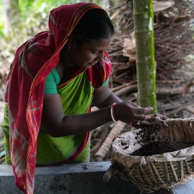 One handful at a time- how Archana rebuilt her land and livelihood
