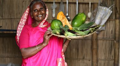 Eliminating extreme poverty: How can we make Graduation more cost-effective? - Header Image