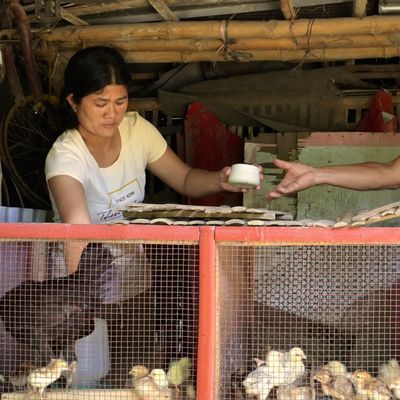 Participant with Chicken-Raising Livelihood 2022-UPGI Philippines