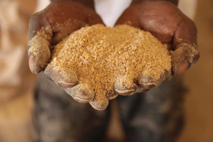 A Liberian man's hands are shown holding his homemade chicken feed mix of ground nuts and ground fish bones