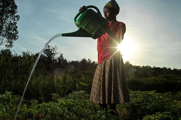AIM Participant, Rwanda