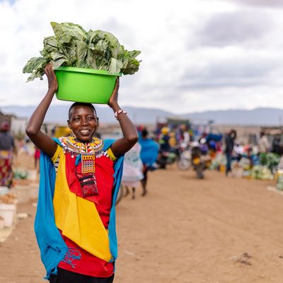 BRAC International | The Graduation Approach: Ending Extreme Poverty in Rural Kenya