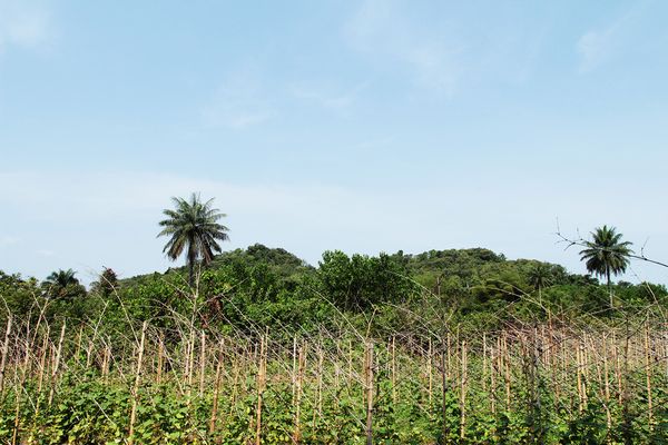 Earth Day 2023: 5 ways to invest in our planet, people, and potential - Header Image