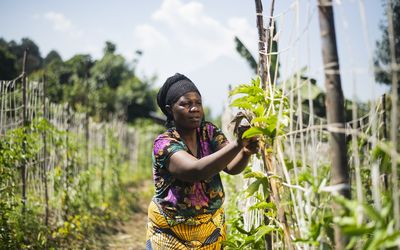 Sarker Protick_Color_0009