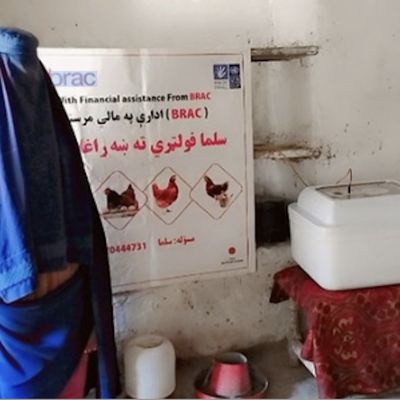 A blue jacket hung up in front of a poster with chickens on a poultry farm