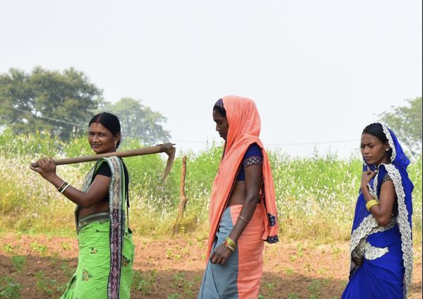 Ministry of Rural Development Inclusive Livelihoods Participants in India