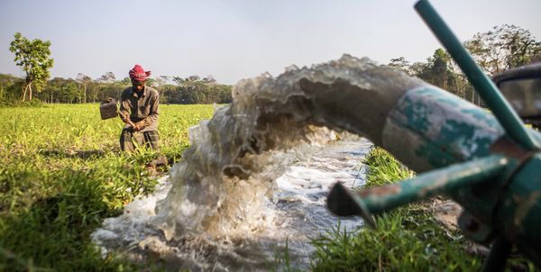 Farmers in crisis