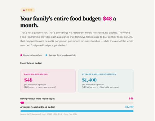 Rohingya refugee ration calculator screenshot for world refugee day campaign 2026