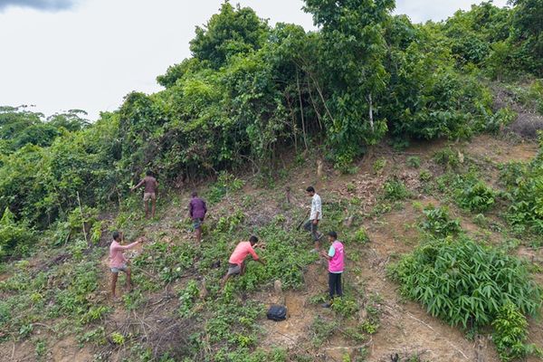 Six men stand on a steep, lush hillside in Cox's Bazar