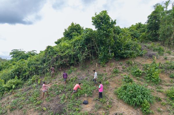 Six men stand on a steep, lush hillside in Cox's Bazar