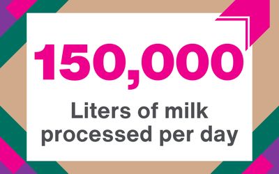 Social-enterprise-4 Multiply Her Power - social enterprises graphic