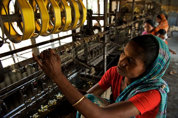 A BRAC Silk worker extracts fine silk from cocoon at a reeling centre in Rangpur district